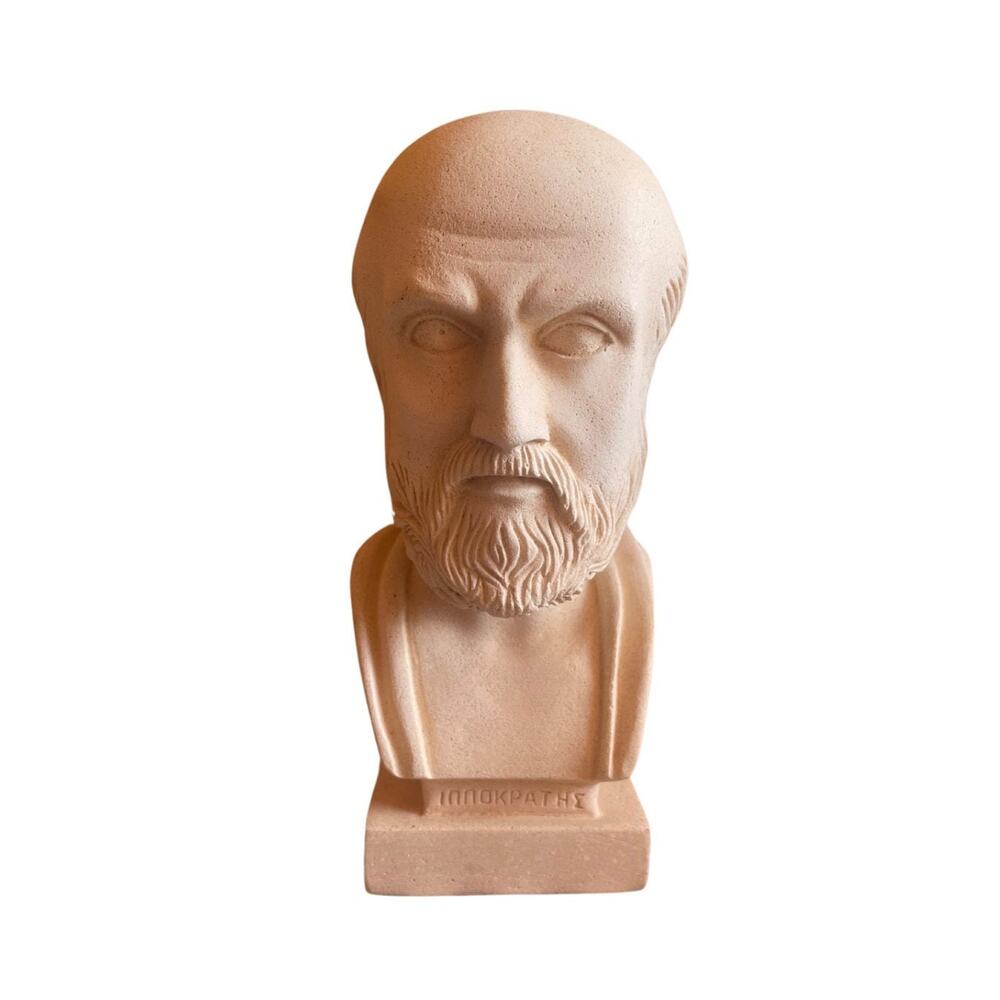 Socrates Bust